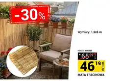 Merkury Market Mata trzcinowa 1,5x5m oferta