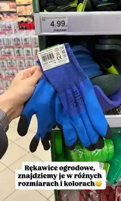 Dino Rękawice ogrodowe oferta