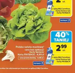 Carrefour Sałata masłowa polska oferta
