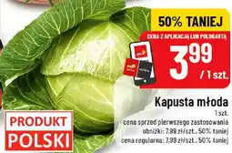 Polomarket Kapusta młoda oferta
