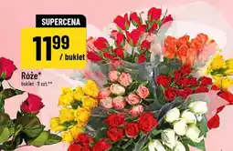 Polomarket Róże oferta