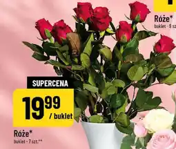 Polomarket Róże oferta