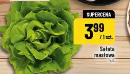 Polomarket Sałata masłowa oferta