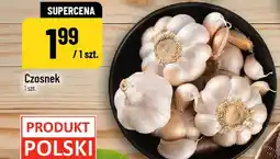 Polomarket Czosnek oferta