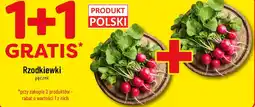 Polomarket Rzodkiewki oferta