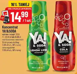 Polomarket Excellence Koncentrat ya!&Soda oferta
