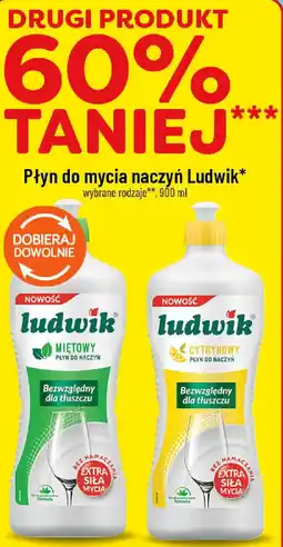 Polomarket Ludwik Płyn do mycia naczyń oferta