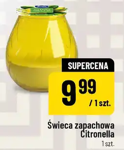 Polomarket Świeca zapachowa Citronella oferta