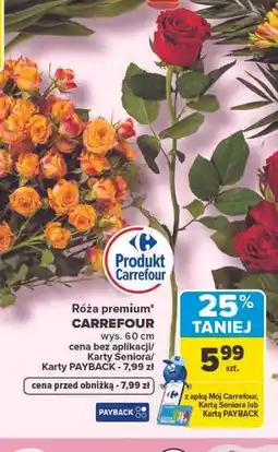 Carrefour Róża premium 60 cm Carrefour oferta