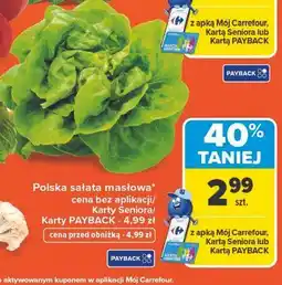 Carrefour Sałata masłowa polska oferta
