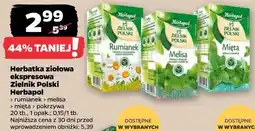 Netto Herbatka ziołowa ekspresowa Zielnik Polski Herbapol oferta