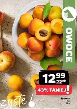 Netto Morela oferta