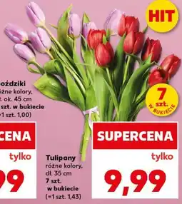 Kaufland Tulipany oferta