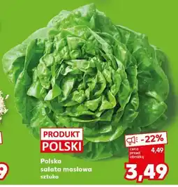 Kaufland Polska sałata masłowa sztuka oferta