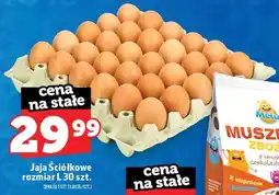 Topaz Jaja ściółkowe rozmiar L 30-pak oferta