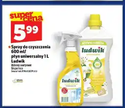Topaz Spray do czyszczenia Ludwik oferta