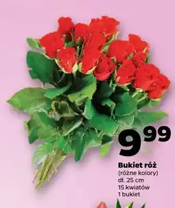 Netto Bukiet róż dł. 25cm 15 kwiatów oferta