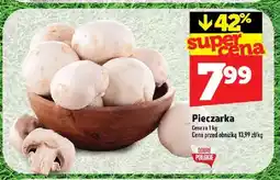 Topaz Pieczarka oferta