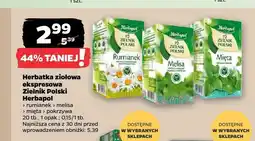 Netto Herbatka ziołowa ekspresowa Zielnik Polski Herbapol rumianek oferta
