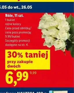 Lidl Róże oferta