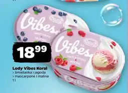 Netto Lody Vibes mascarpone i malina Koral oferta