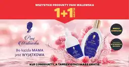 Netto Wszystkie produkty pani walewska oferta