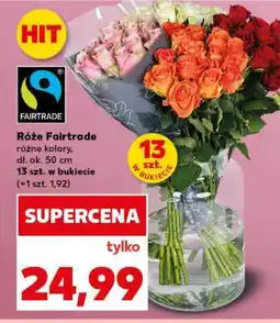 Kaufland Róże Fairtrade oferta