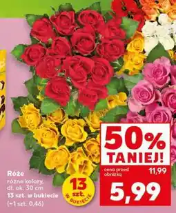 Kaufland Róże oferta