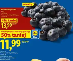 Lidl Borówki amerykańskie oferta