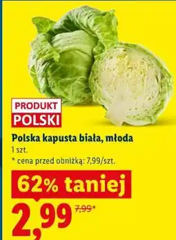 Lidl Polska kapusta biała, młoda 1 szt oferta