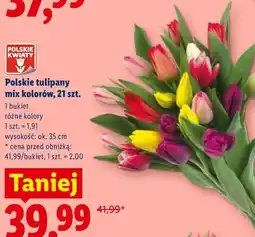 Lidl Polskie tulipany mix kolorów, 21 szt oferta