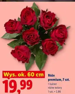 Lidl Róże premium, 7 szt oferta