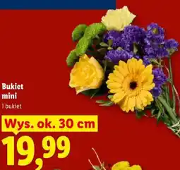 Lidl Bukiet mini oferta