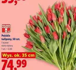 Lidl Polskie tulipany, 50 szt oferta