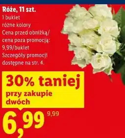 Lidl Róże, 11 szt. 1 bukiet różne kolory oferta