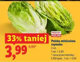 Lidl Polska minisałata rzymska 2 szt oferta