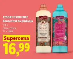 Lidl Koncentrat do płukania oferta