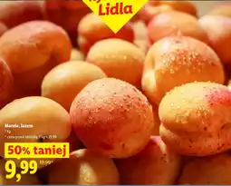 Lidl Morele, luzem oferta