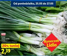 Lidl Polska cebula dymka oferta