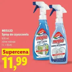 Lidl MEGLIO Spray do czyszczenia oferta