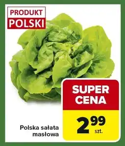Carrefour Express Polska sałata masłowa oferta