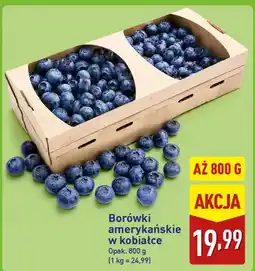 ALDI Borówki amerykańskie w kobiałce oferta