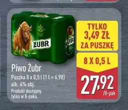 ALDI Piwo Żubr 8-pak oferta