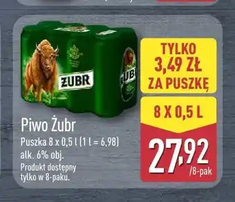 ALDI Piwo Żubr 8-pak oferta