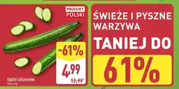 ALDI Ogórki szklarniowe oferta