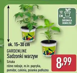 ALDI Sadzonki warzyw papryka GARDENLINE oferta