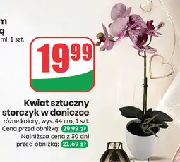 Dino Kwiat sztuczny storczyk w doniczce oferta