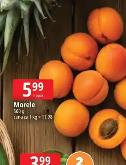 E.Leclerc Morele oferta