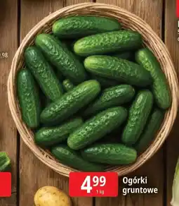 E.Leclerc Ogórki gruntowe oferta