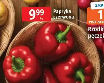 E.Leclerc Papryka czerwona oferta